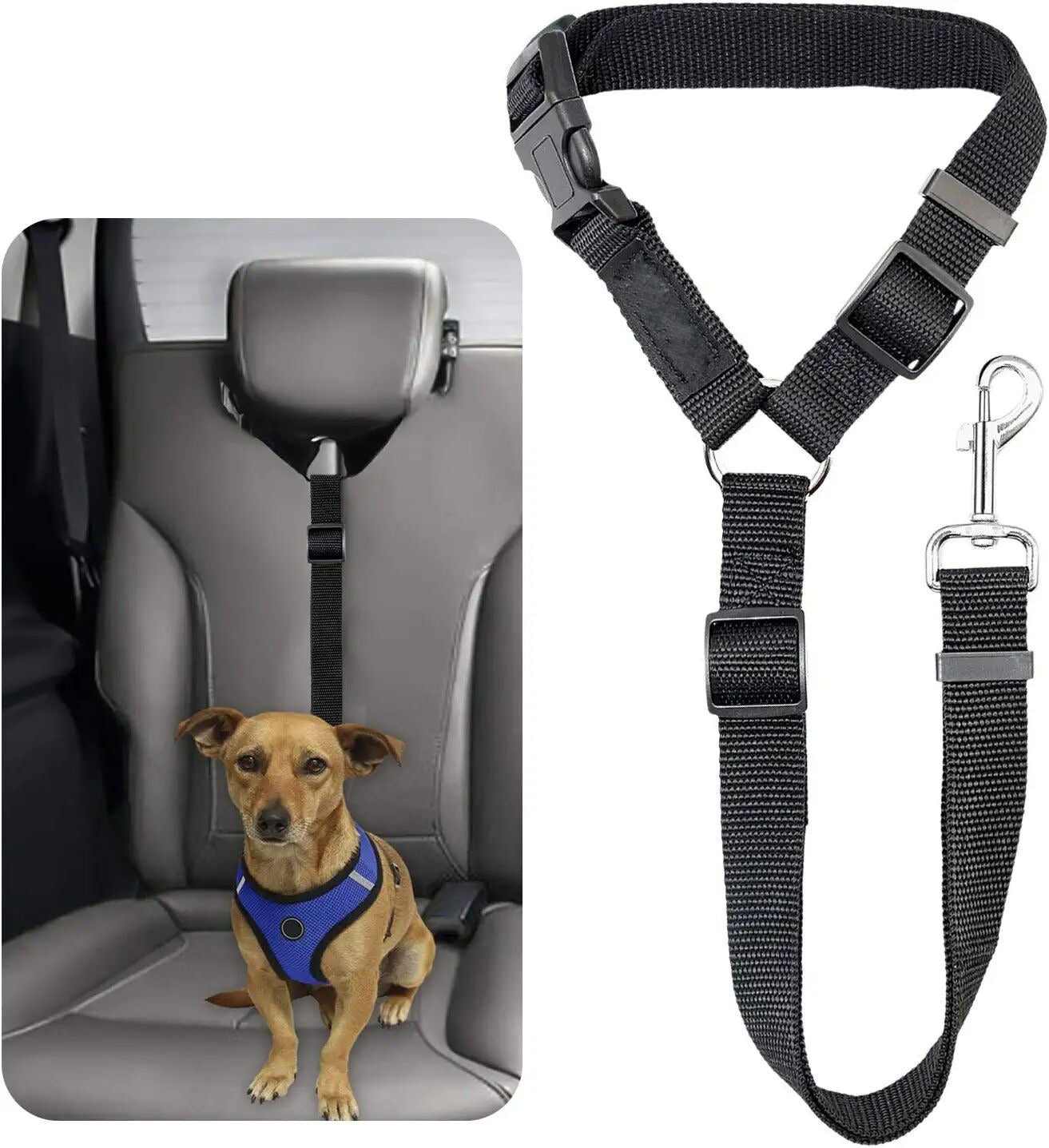 Pet dog safety belt large and medium-sized dog travel vehicle rope car safety buckle fixed rope car riding tool