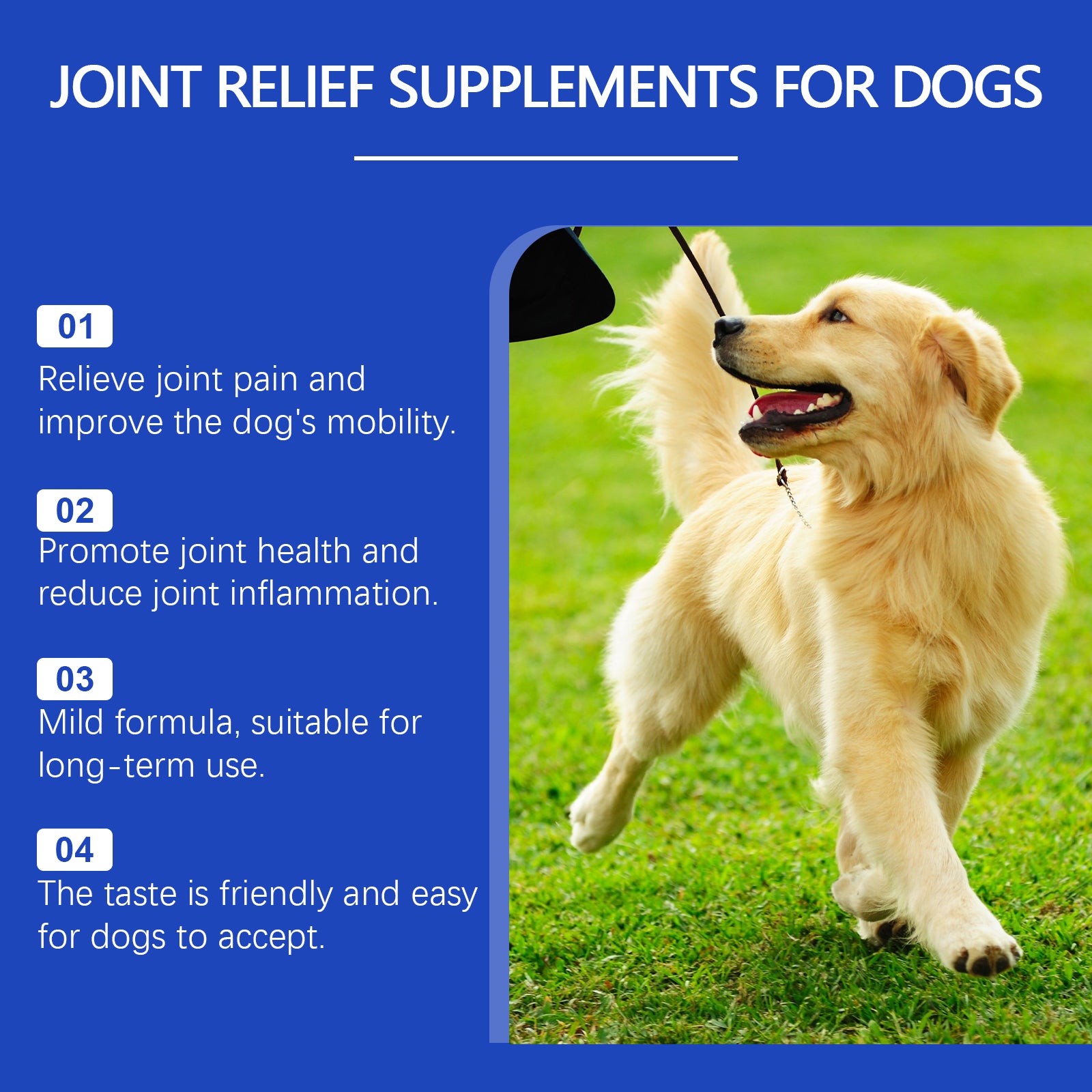 Pet Dog Joint Supplement To Enhance Nutrition Care Joint Health Pet Joint Care Agent